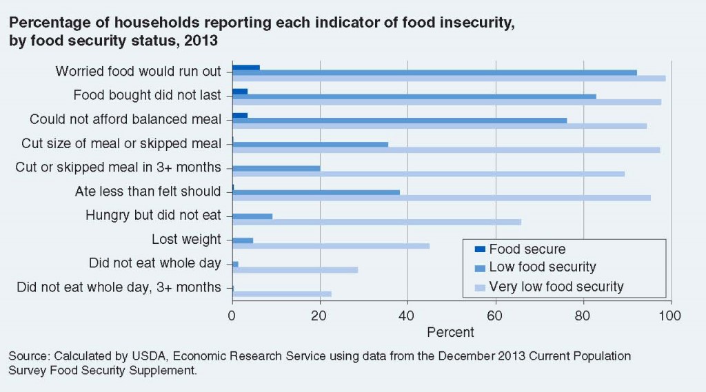 What hunger looks and feels like for food insecure households